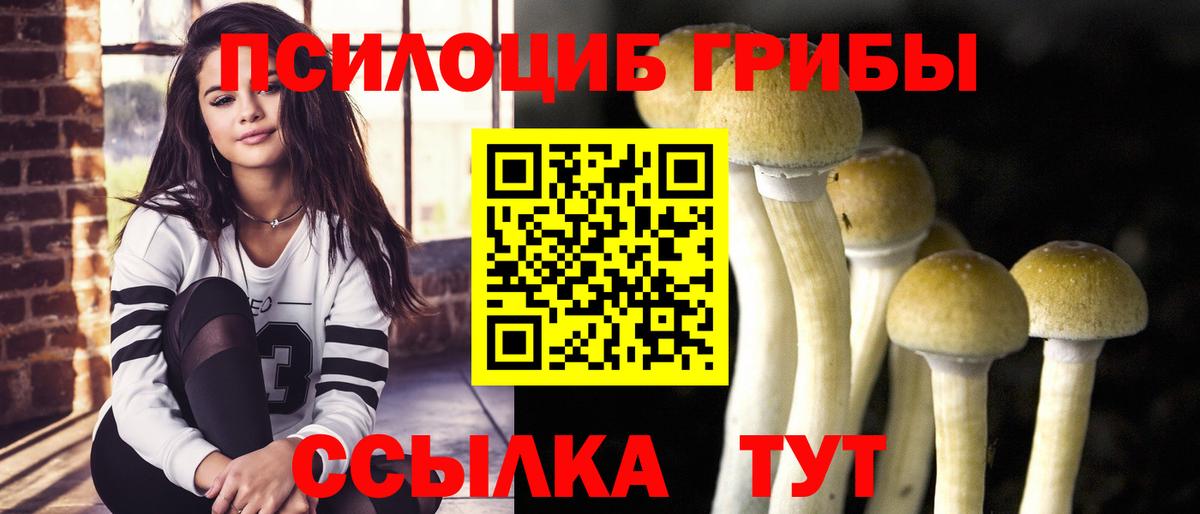 Псилоцибиновые грибы мицелий Усть-Илимск